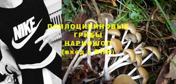 крисы Абинск