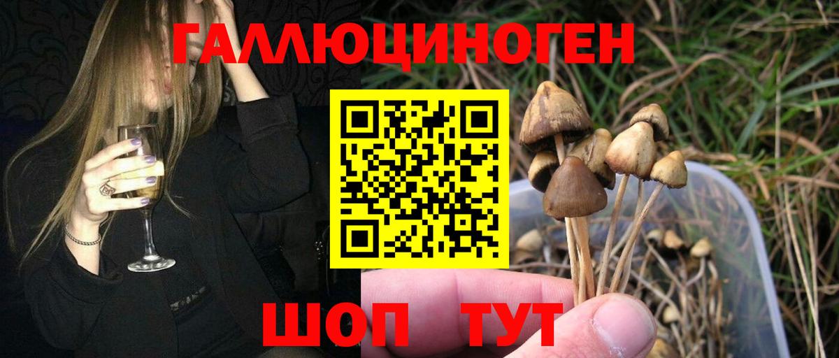 Батайск  Псилоцибиновые грибы мицелий  Вход с VPN 